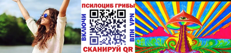 Псилоцибиновые грибы GOLDEN TEACHER  купить   Энем 